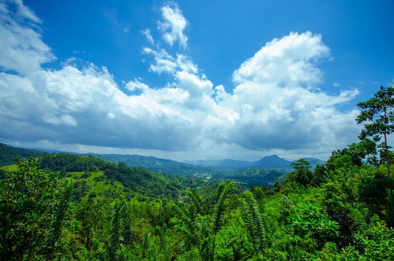 Bed and Breakfast Summit View Kandy Exteriér fotografie